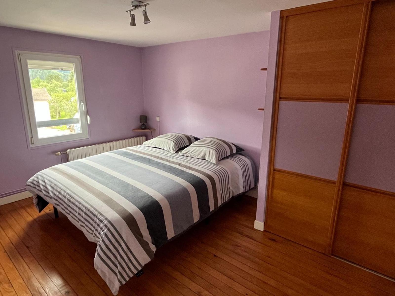 Gite 205 M2, 8Pers Piscine, Jacuzzi, Balneo Privatifs Vagney 外观 照片